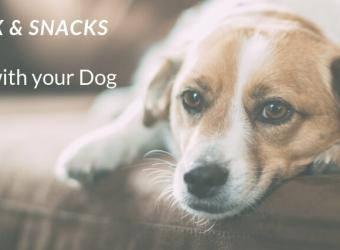 Netflix and Snack: What Foods are Safe to Share with your Dog